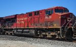 CP 8809